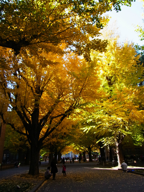 a0087341_12314238.jpg