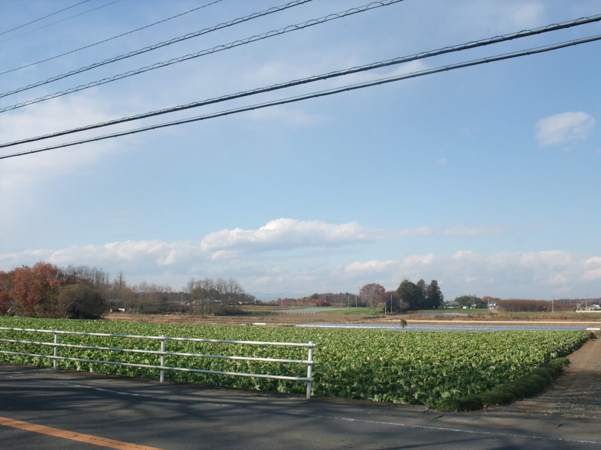 a0303241_222226.jpg