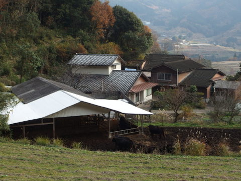 b0199742_1015742.jpg