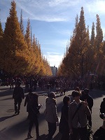 f0065542_20421646.jpg