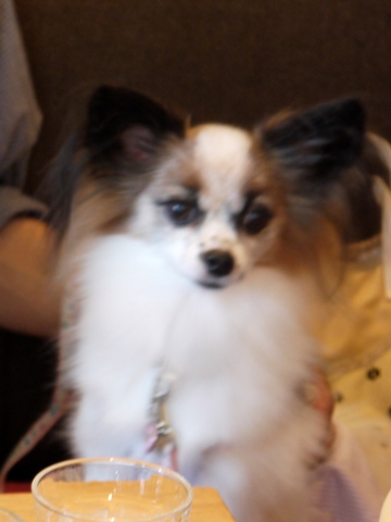e0100046_134712.jpg