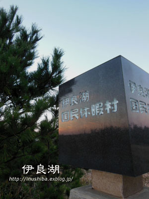 a0286855_8411981.jpg