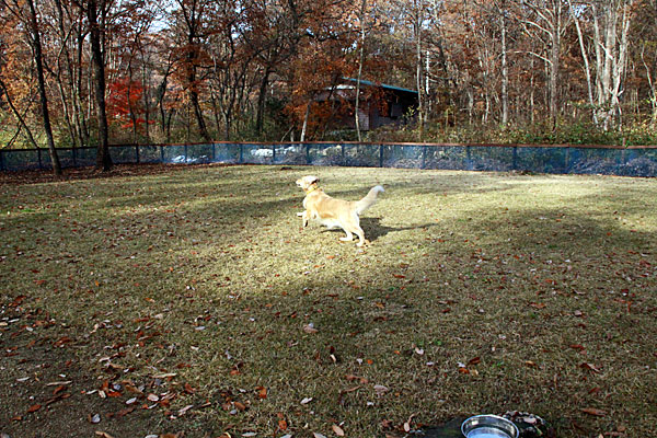 f0297764_17571536.jpg