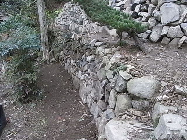 a0146070_6105243.jpg