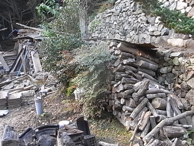 a0146070_635576.jpg