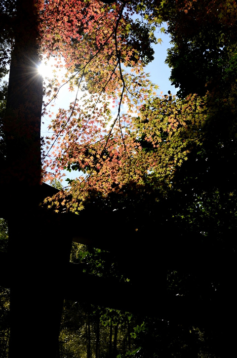 f0108478_19391014.jpg