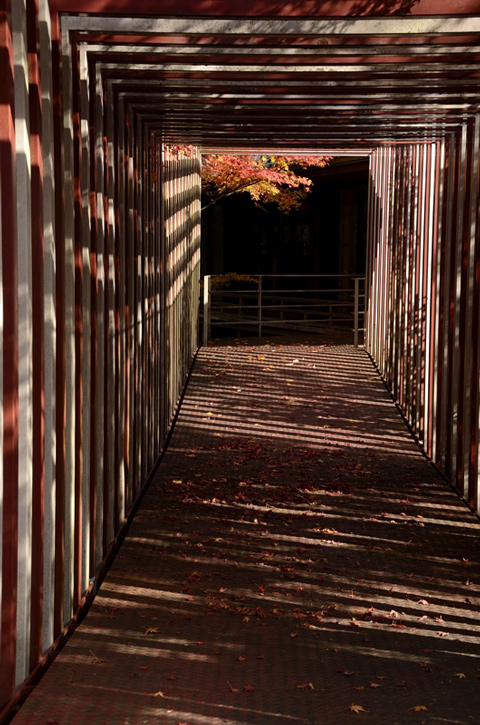 f0108478_19395215.jpg