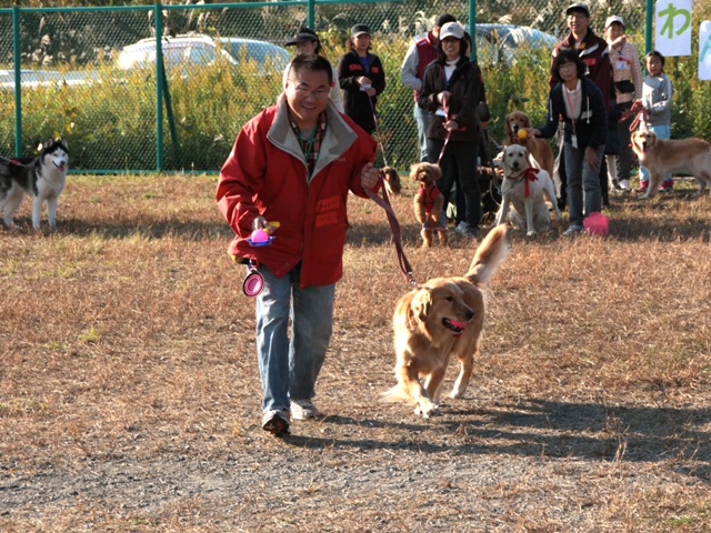 f0230380_2034544.jpg
