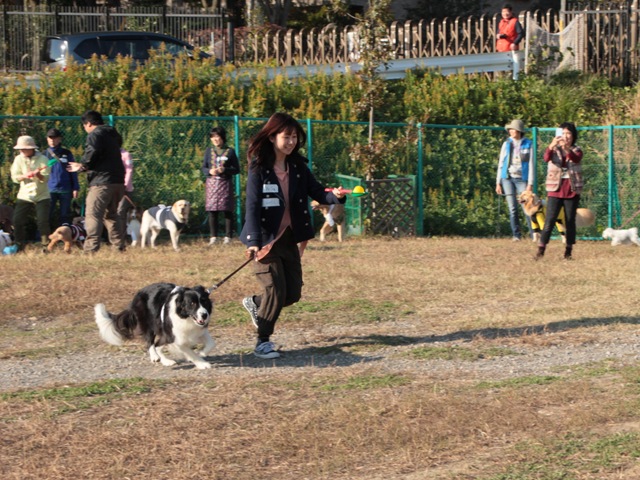 f0230380_20443812.jpg