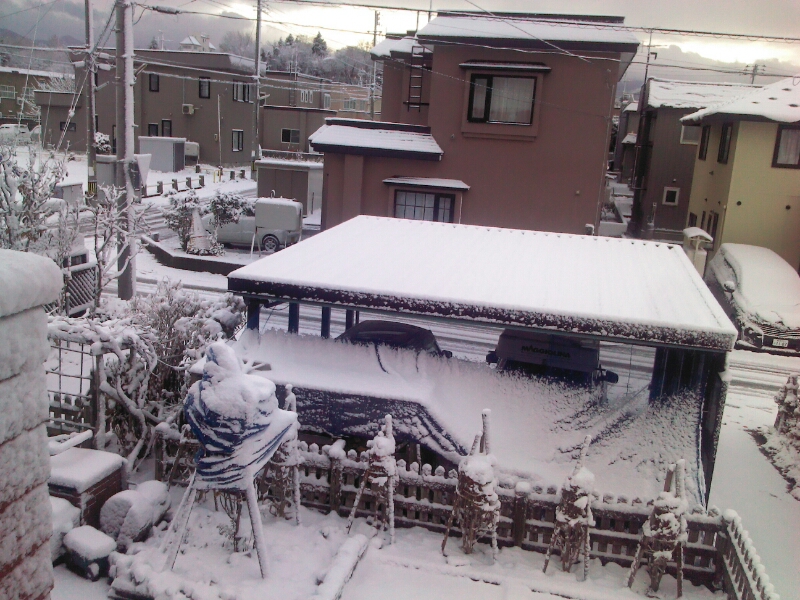 a0007388_826667.jpg