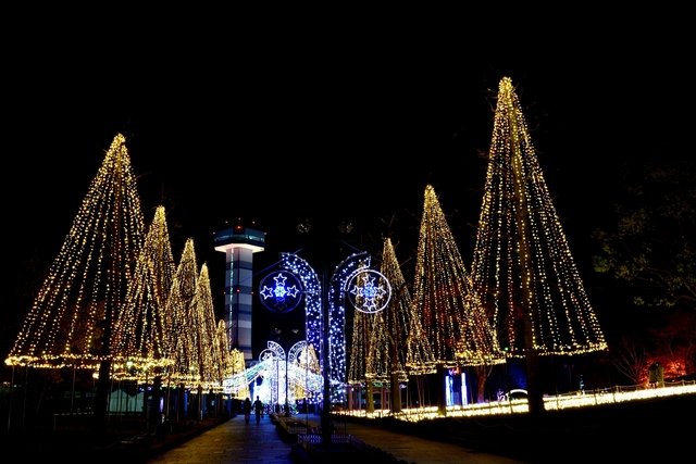 f0103688_2140123.jpg