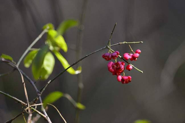 b0255992_2347178.jpg