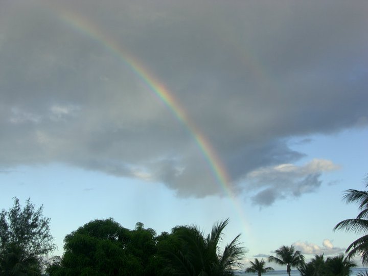 e0161692_11403897.jpg