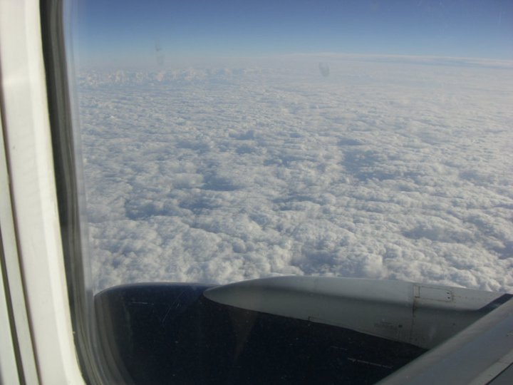 e0161692_11431234.jpg