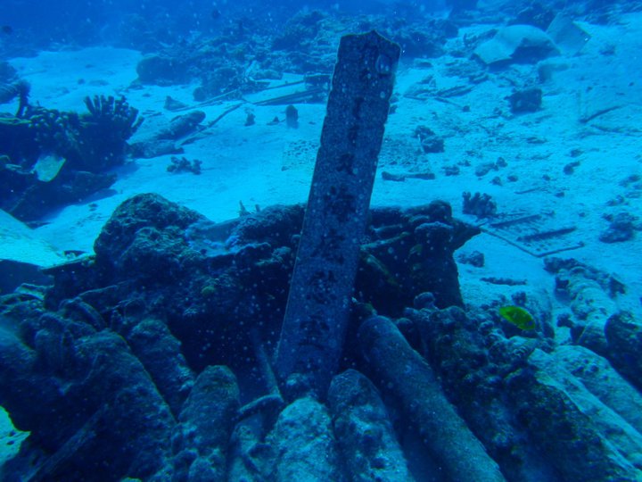e0161692_11473618.jpg