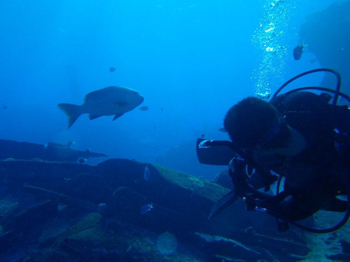 e0161692_11553590.jpg