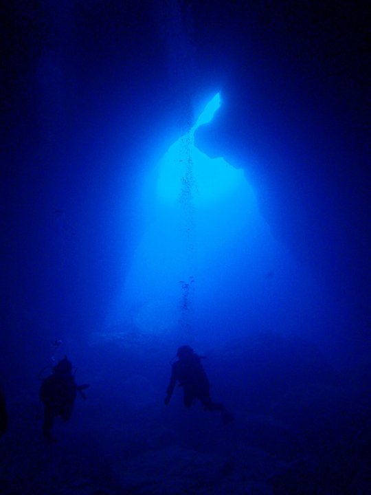 e0161692_1202525.jpg
