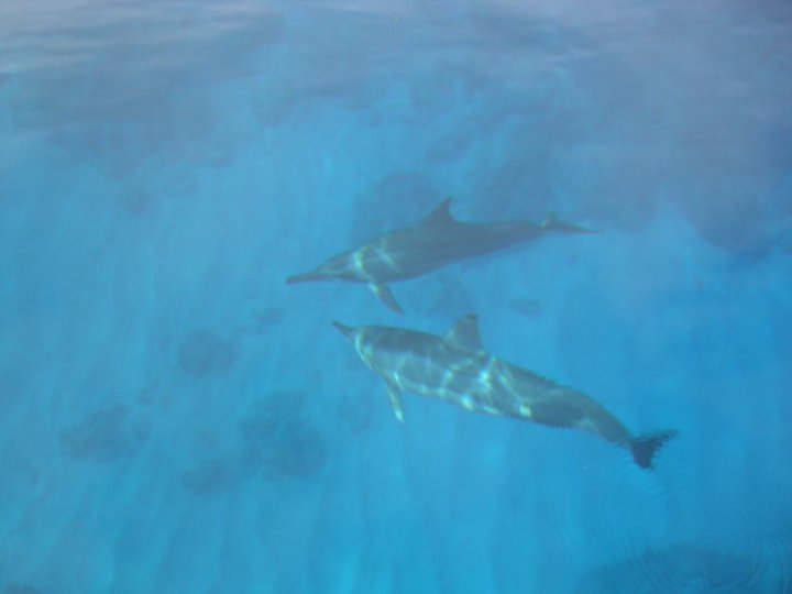 e0161692_1262246.jpg