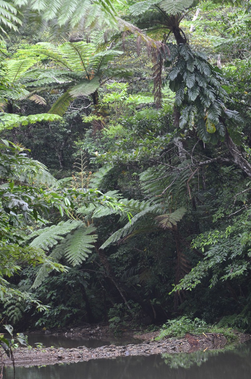 a0277496_11274244.jpg