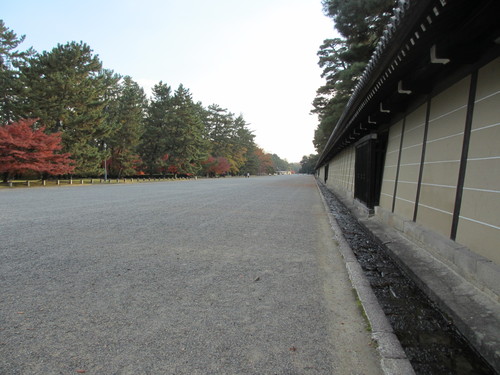 e0036108_1013336.jpg