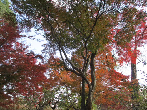 e0036108_9563862.jpg