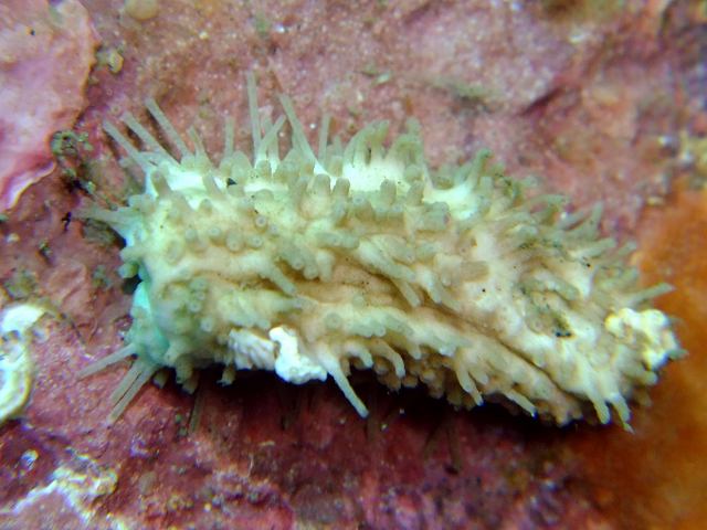 d0175710_12214381.jpg