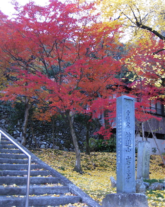 a0164011_21355775.jpg