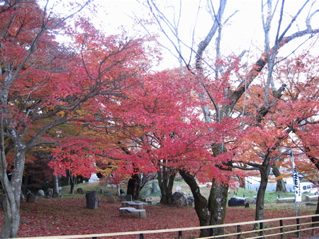 a0164011_2136091.jpg