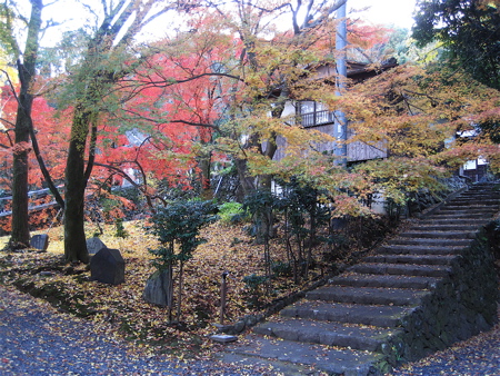 a0164011_21361221.jpg