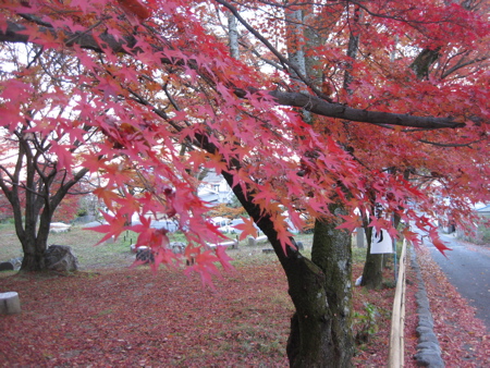 a0164011_21361486.jpg