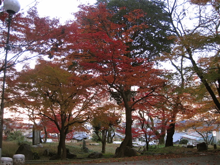 a0164011_21362390.jpg