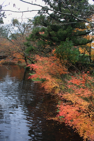 d0077811_019443.jpg