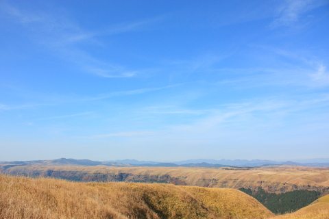 d0077811_15225798.jpg