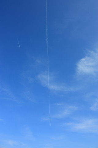 d0077811_15235151.jpg