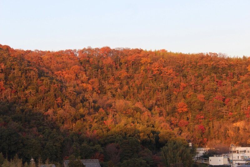 f0246611_16544512.jpg