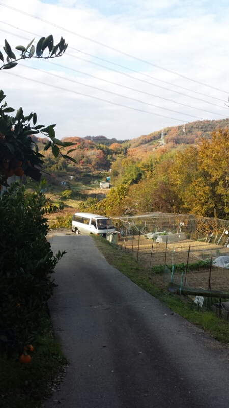 f0246611_16593953.jpg