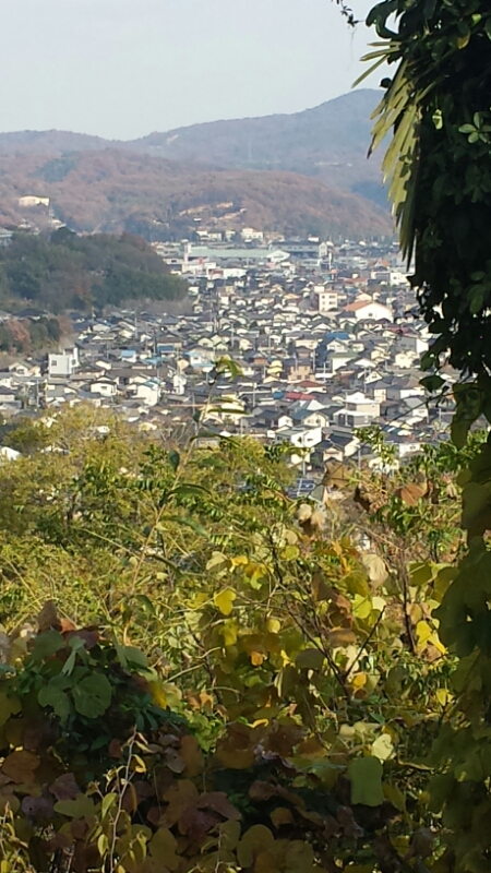 f0246611_16594817.jpg