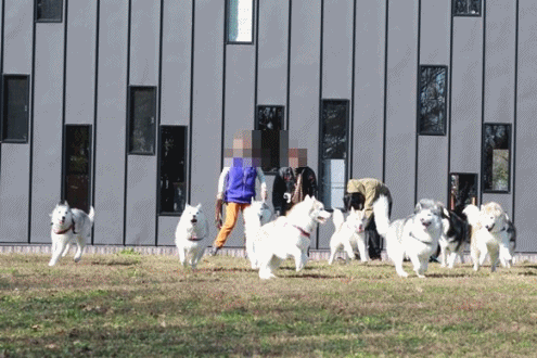 b0207615_21033667.gif