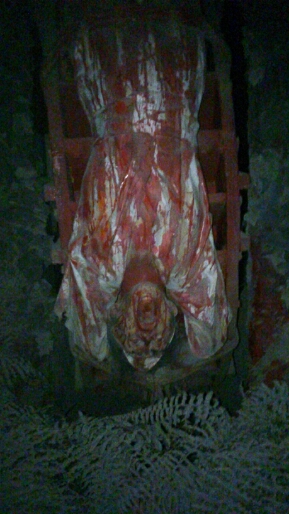 e0271116_1342693.jpg
