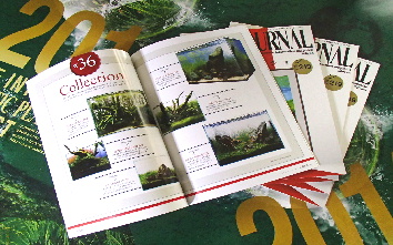 d0212519_15464334.jpg