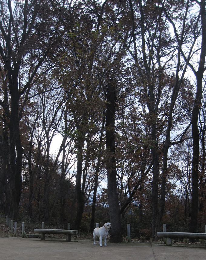 e0244621_2351446.jpg