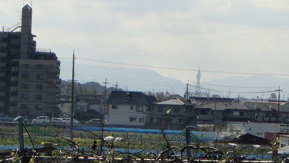 f0000521_2018676.jpg