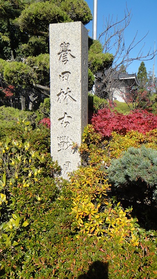 f0000521_20202163.jpg