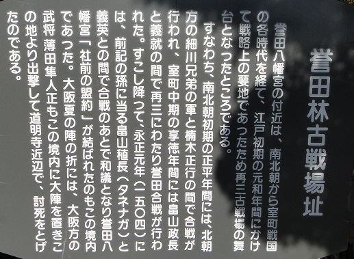 f0000521_20222525.jpg