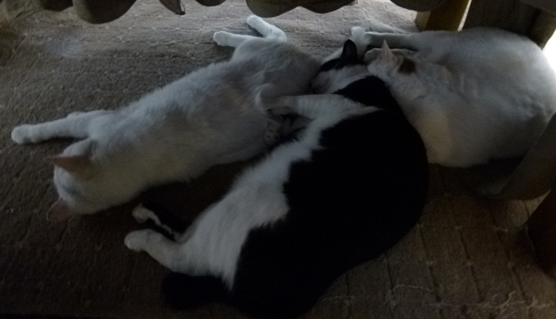 c0013922_13515941.jpg