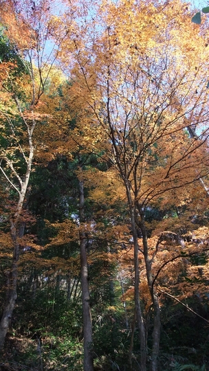 e0256122_20504776.jpg