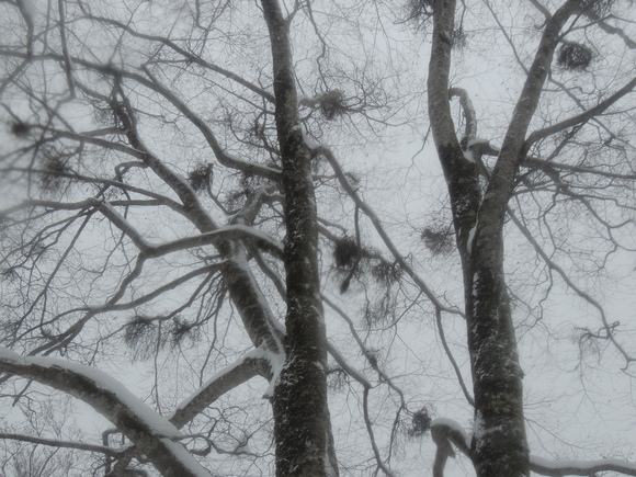 f0118332_23531978.jpg
