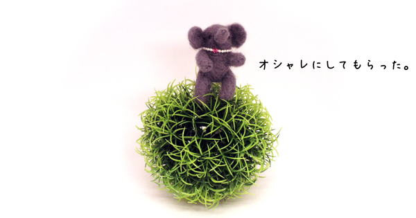 b0237234_1826464.png