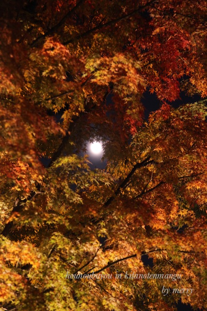 a0207736_0214779.jpg