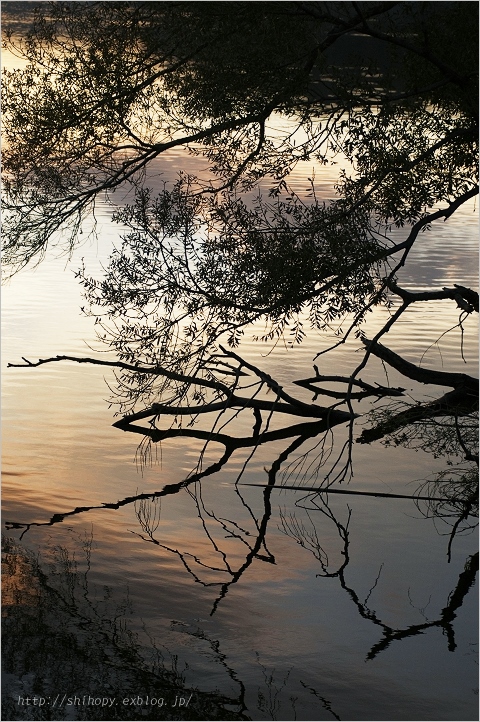 e0011137_20414595.jpg